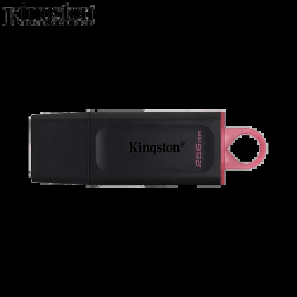 Clé USB 3.2 Kingston 256 Go